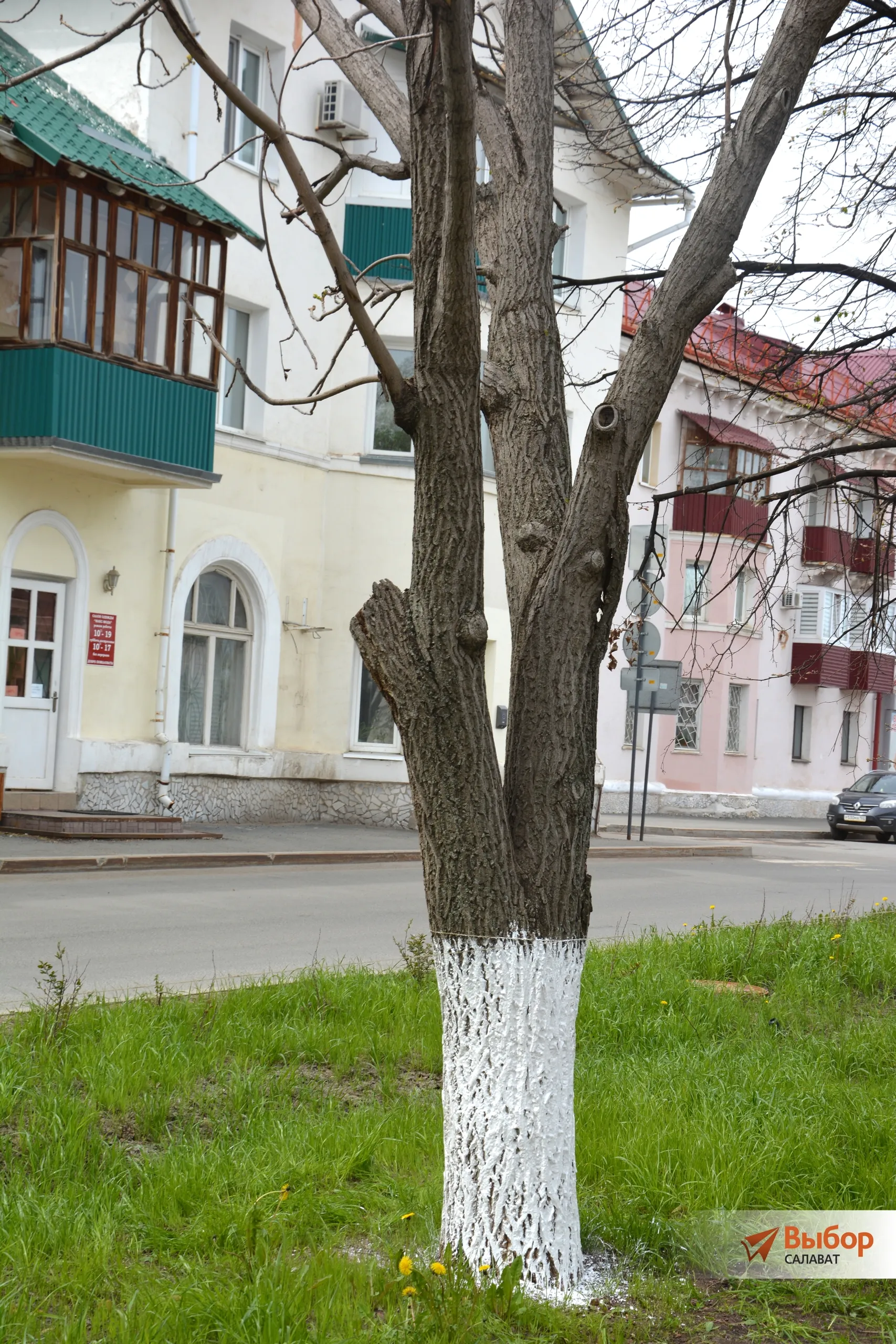 В Салавате провели субботник сразу в нескольких локациях