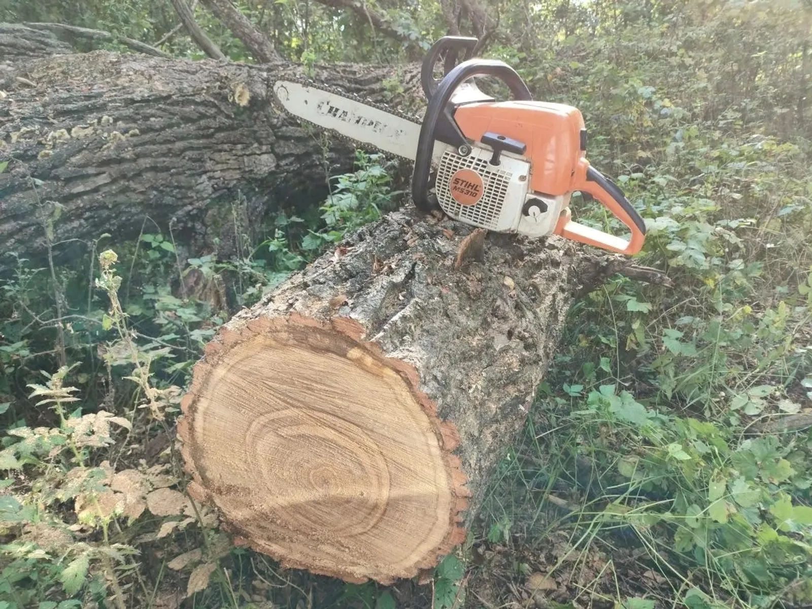 Молодёжная газета