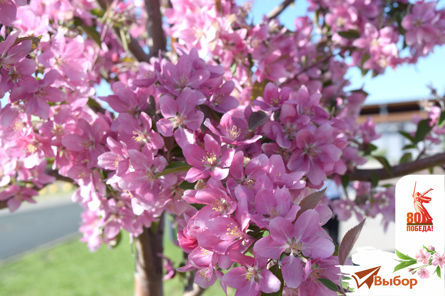 В Салавате раздадут 14 000 георгиевских лент