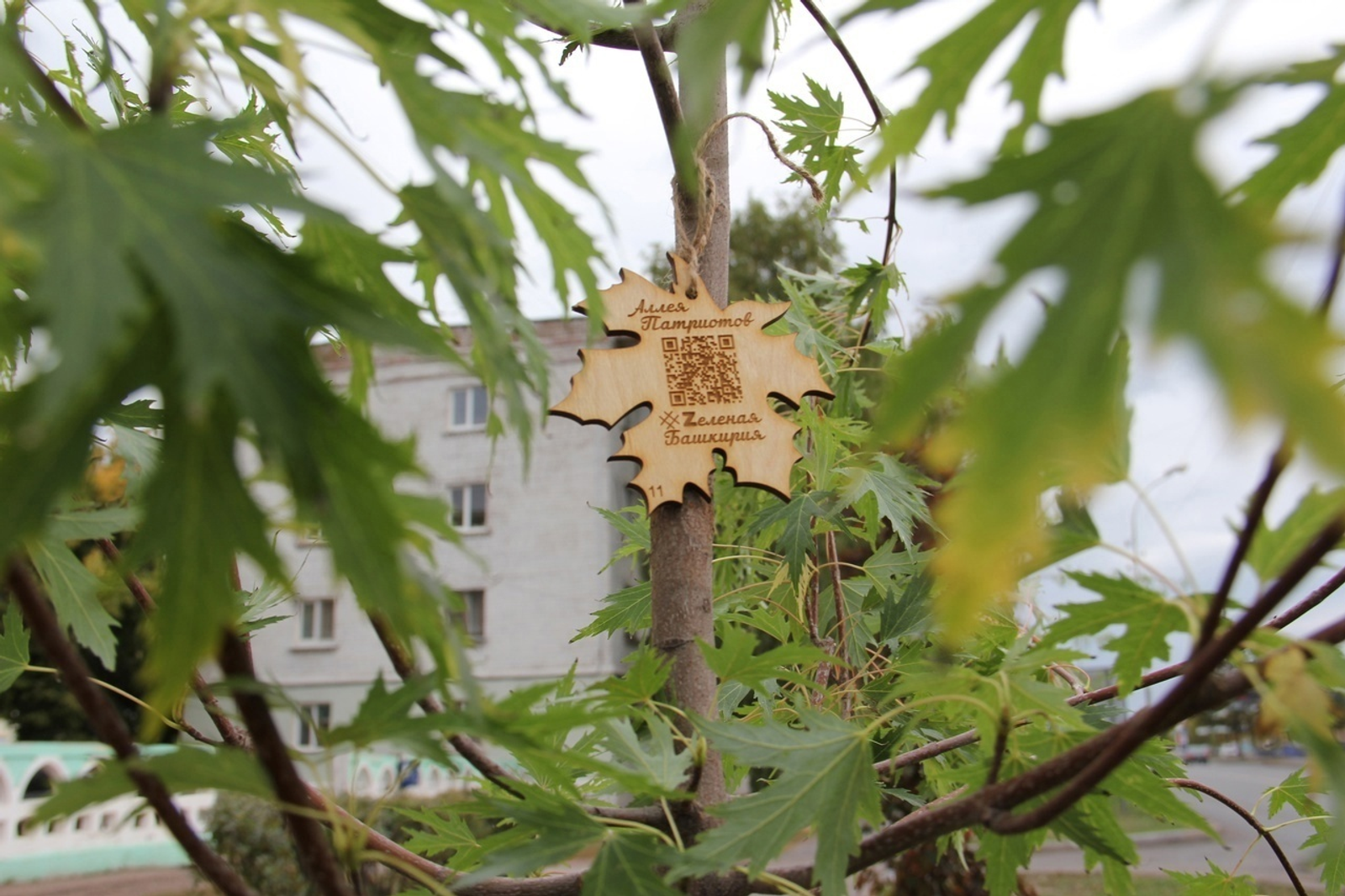 Салават присоединится к акции «Зелёная Башкирия»