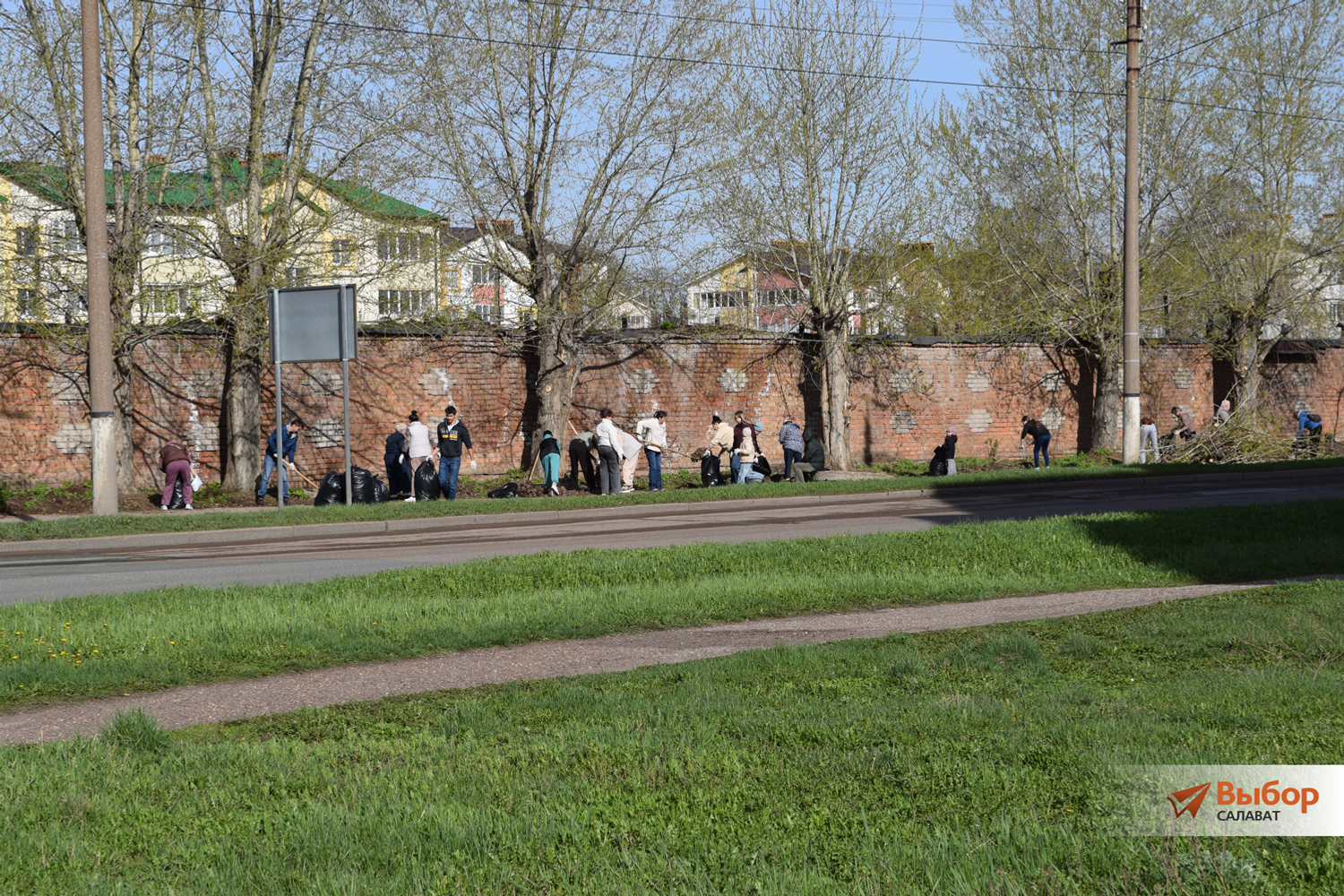 В Салавате прошла акция «Зелёная Башкирия»