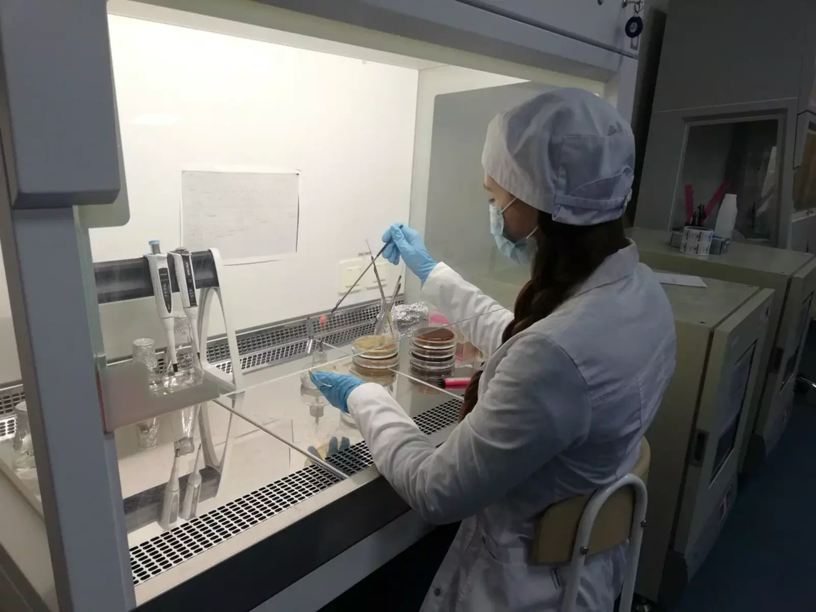 В Межвузовском кампусе Уфы изучат микробиом человека при раковых и глазных заболеваниях
