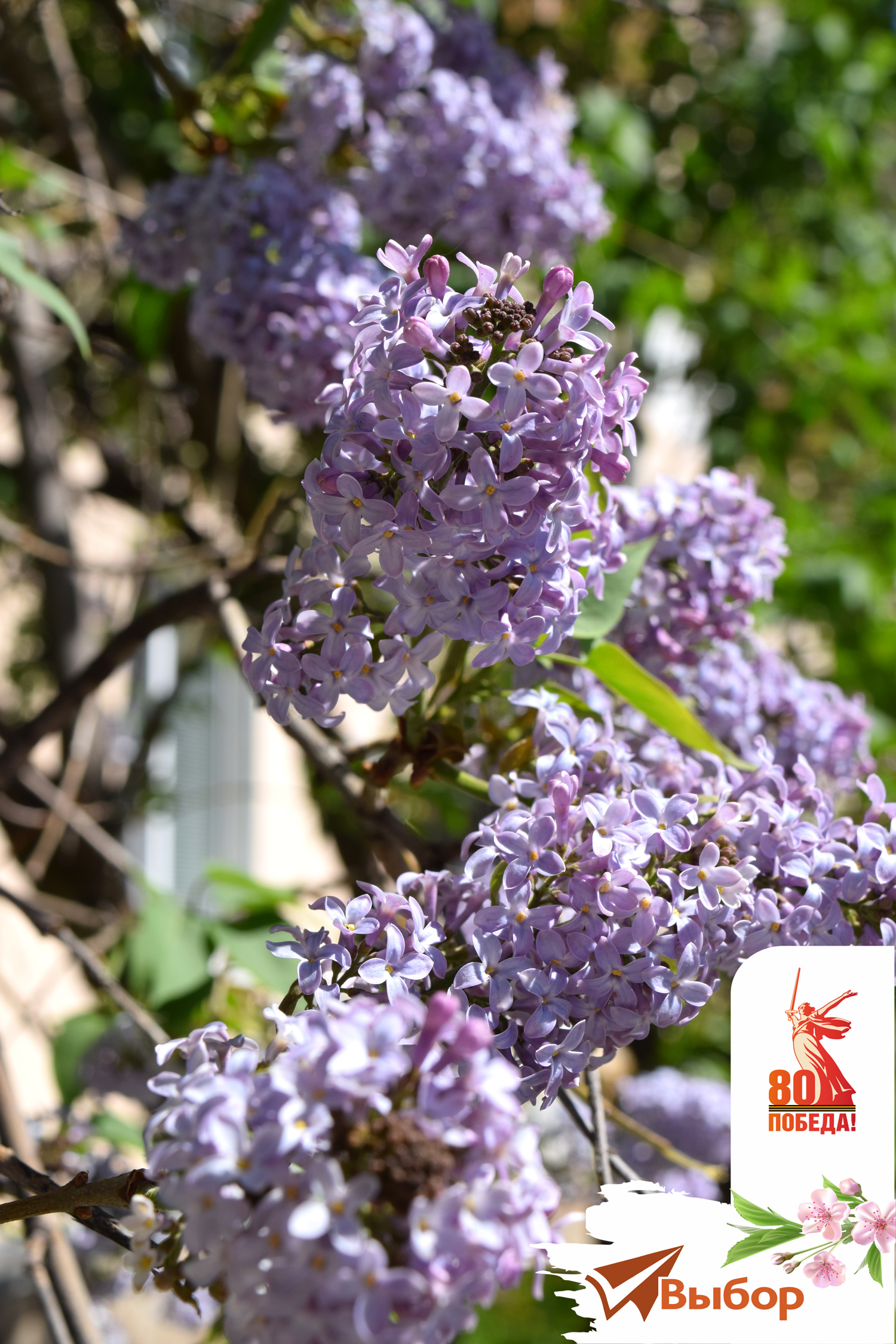 В Салавате поздравили узницу концлагеря Надежду Петровну Ляхину