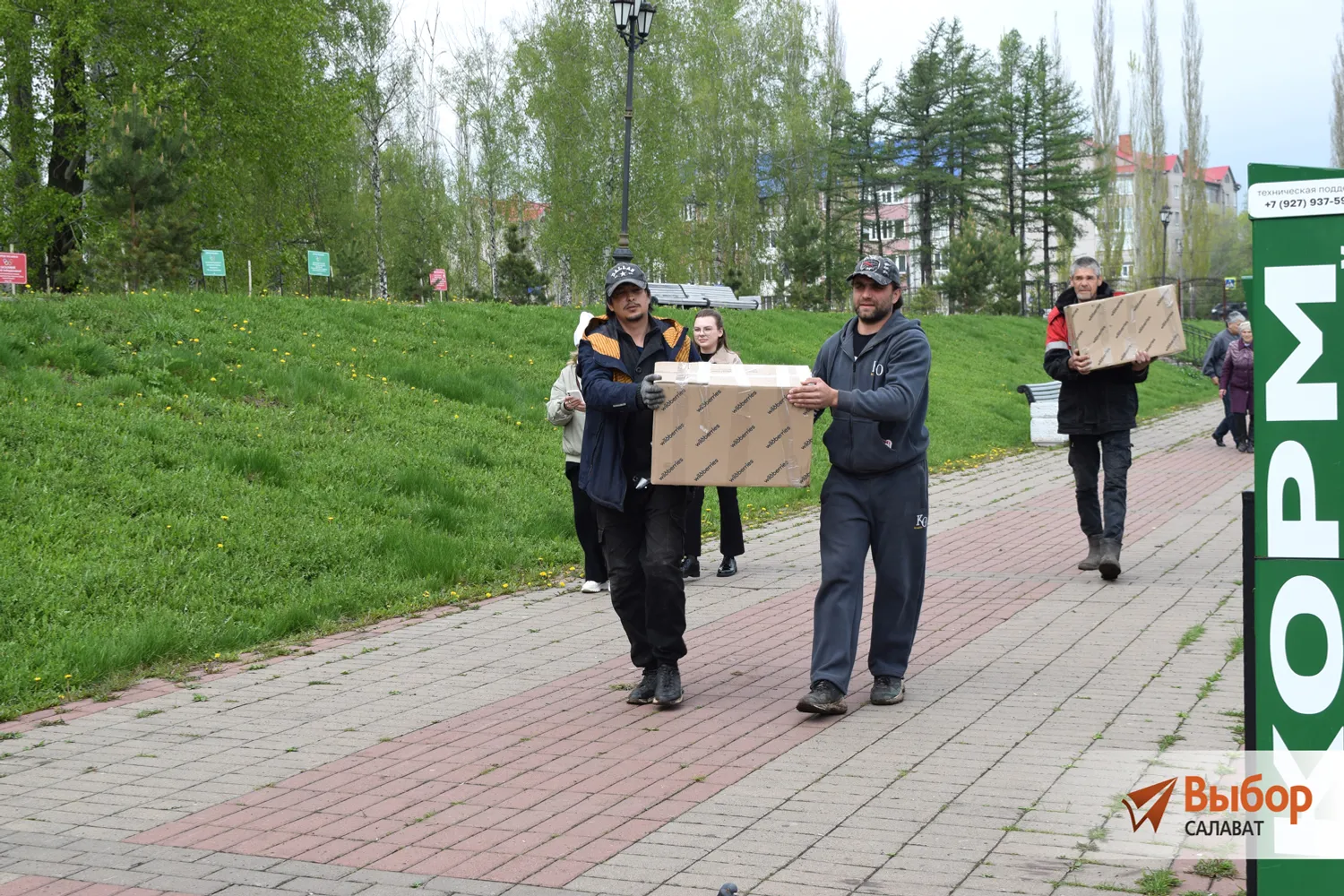 В Салавате лебеди вернулись с зимних квартир