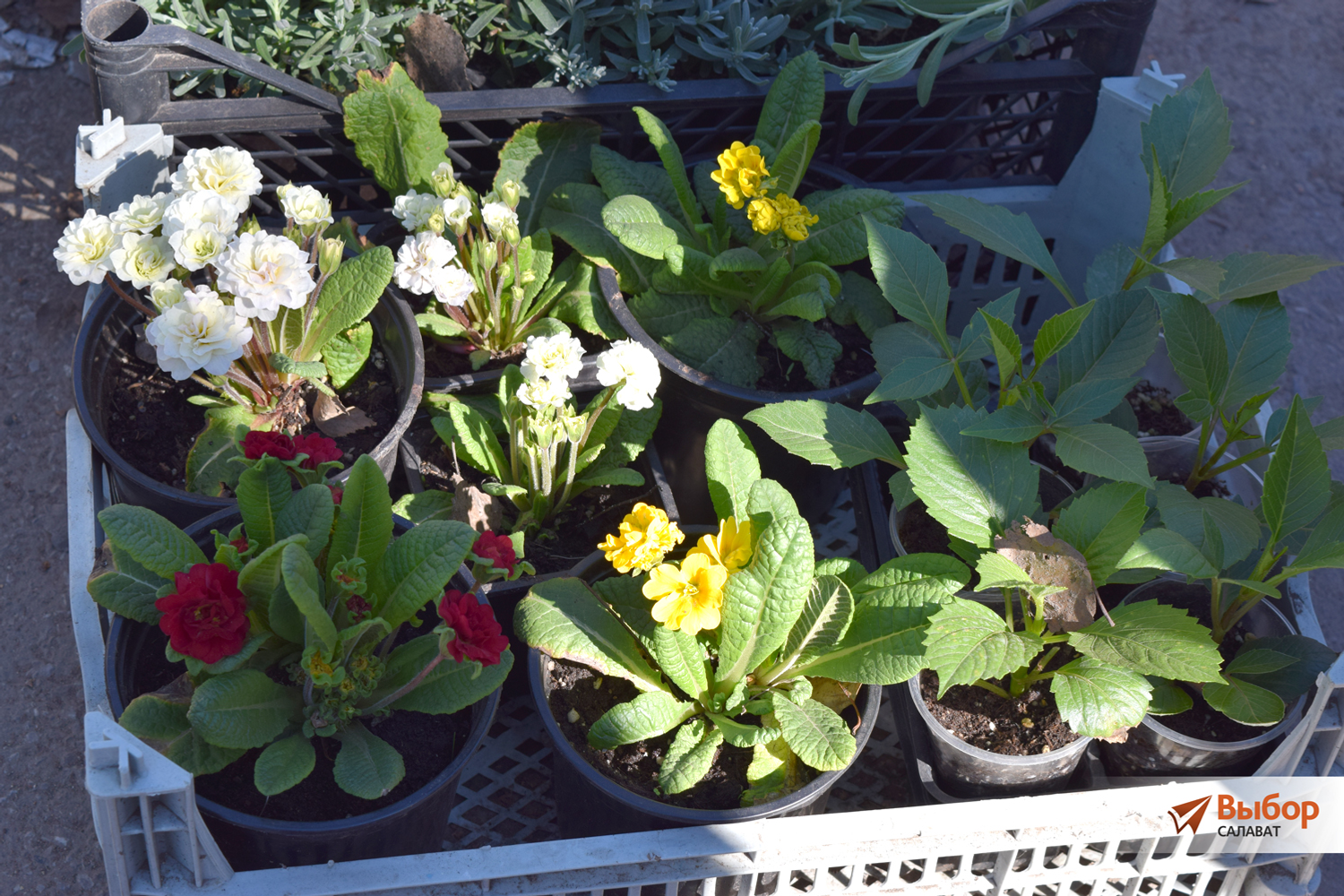 В Салавате переоборудуют уличную ярмарку