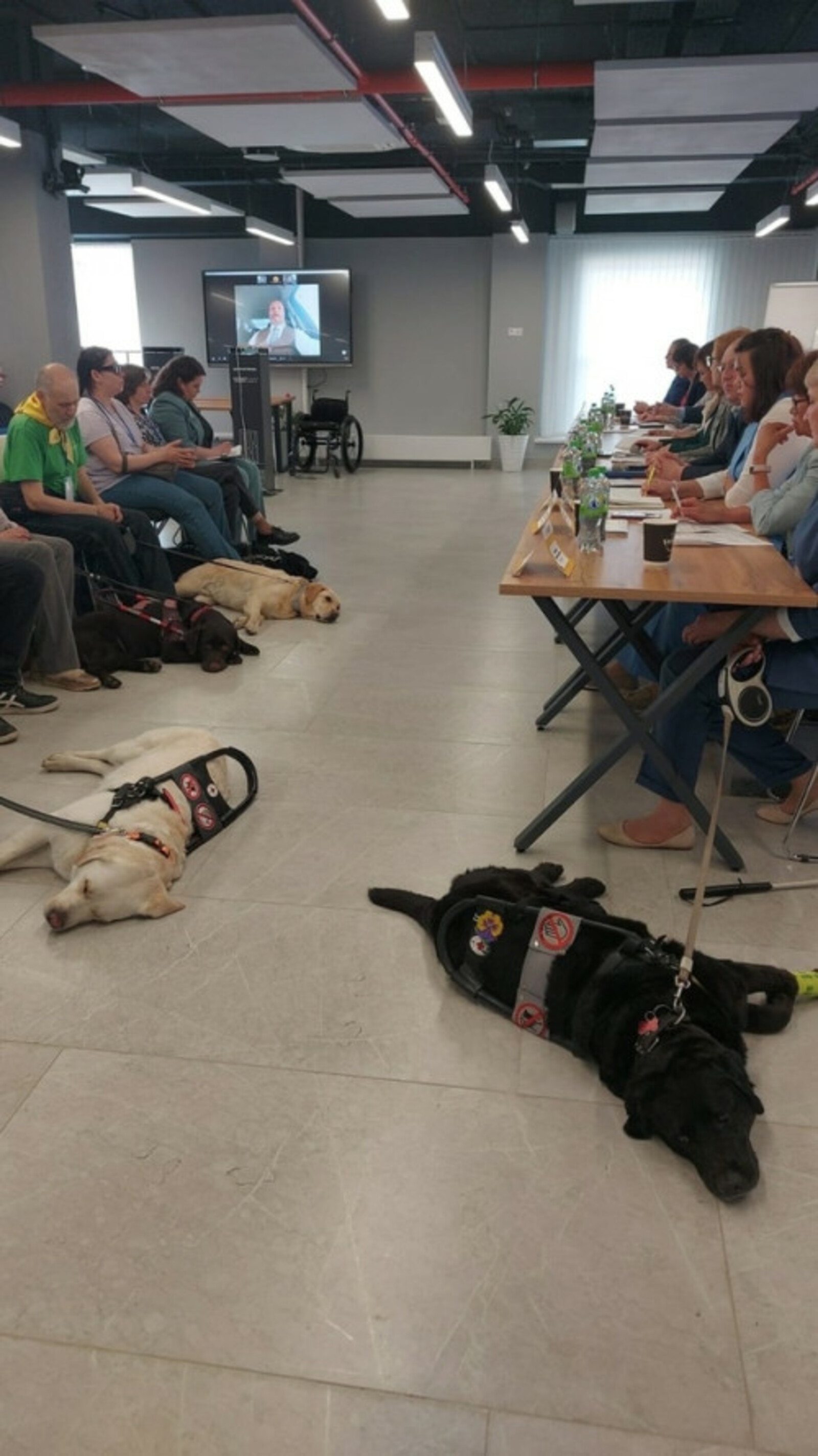 В межвузовском кампусе Башкирии прошла встреча владельцев собак-поводырей