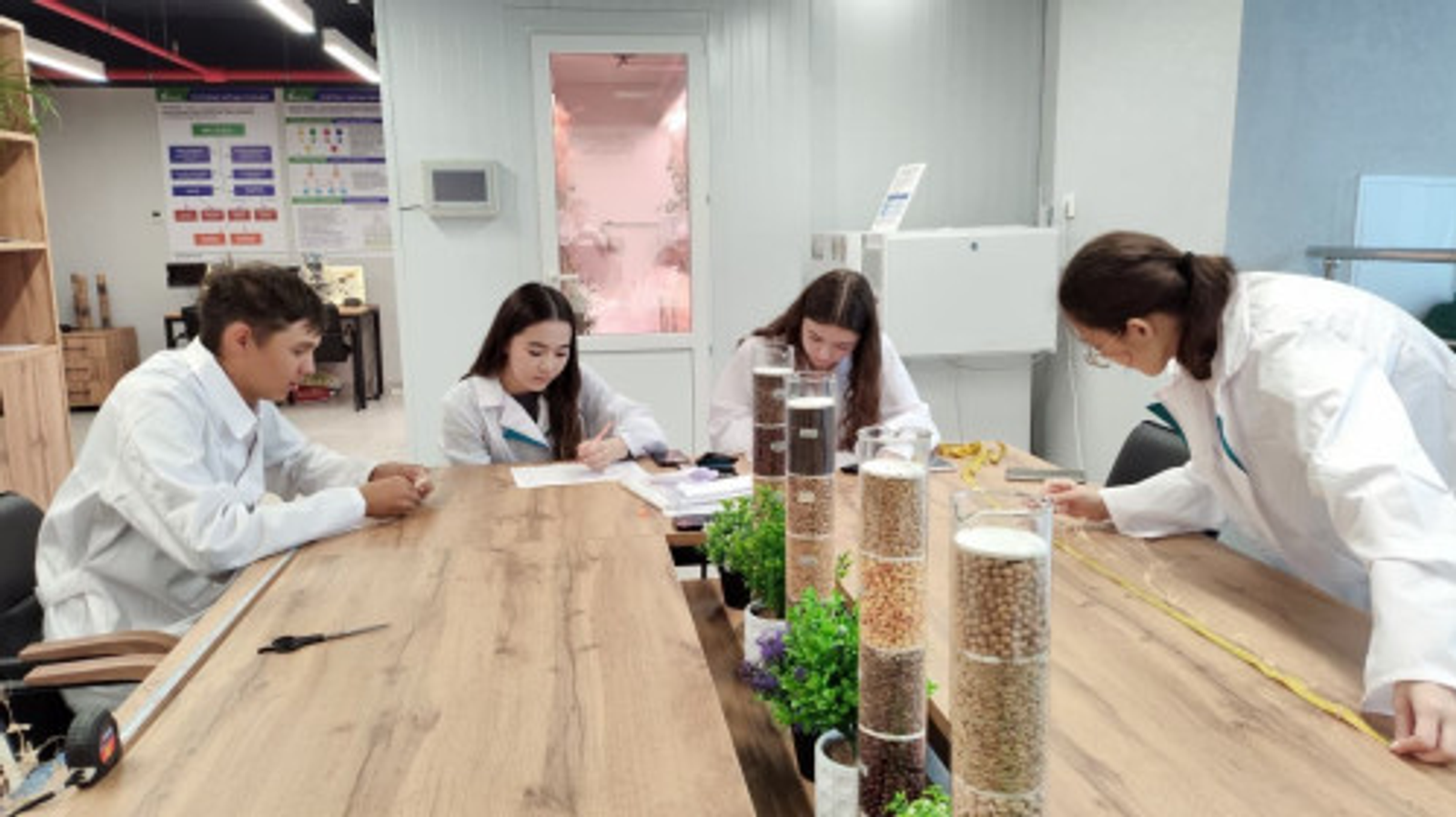 В Межвузовском кампусе Уфы завершён успешный эксперимент по гибридизации гороха