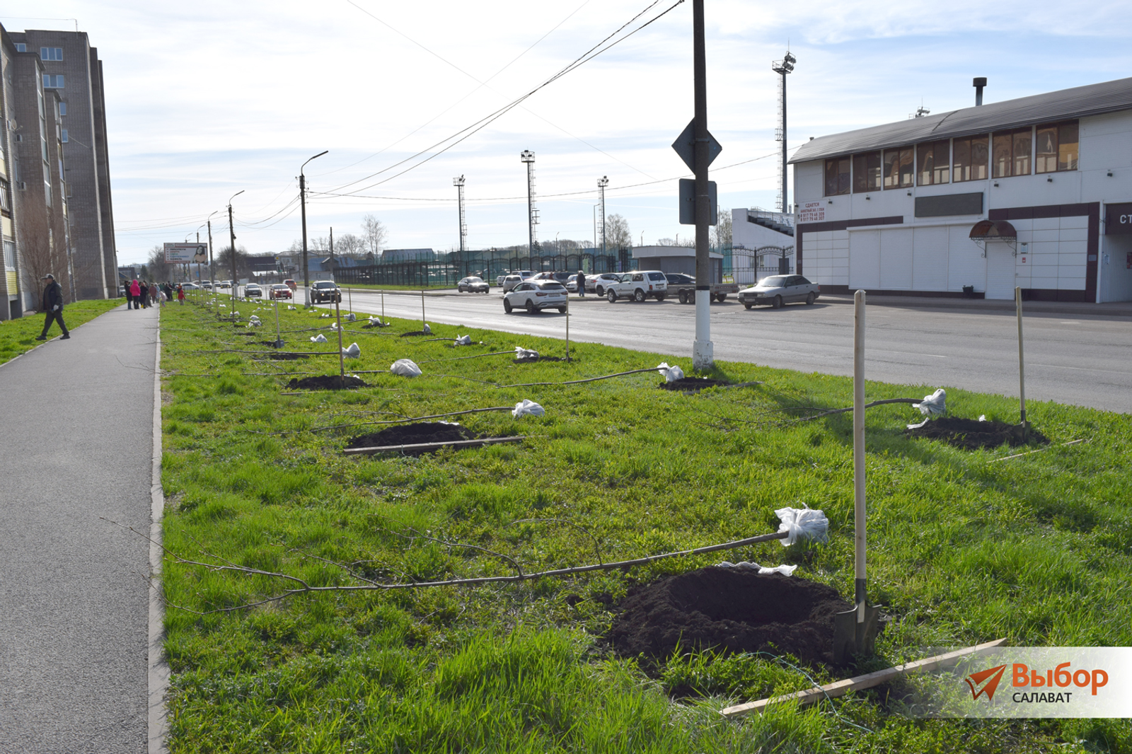 В Салавате прошла акция «Зелёная Башкирия»