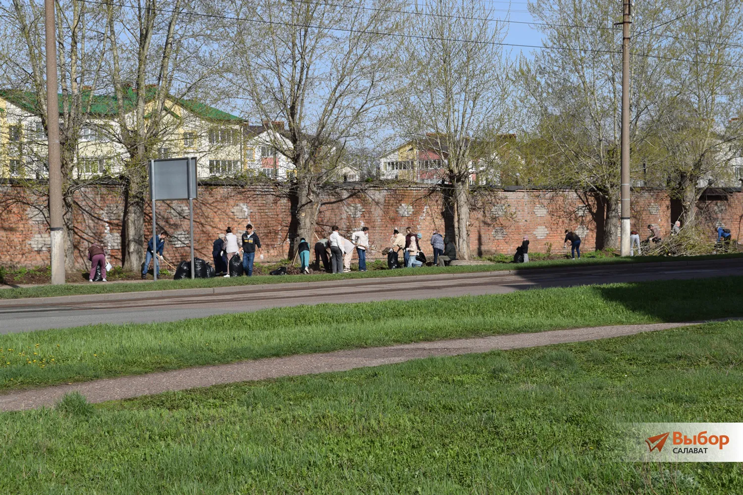 В Салавате прошла акция «Зелёная Башкирия»