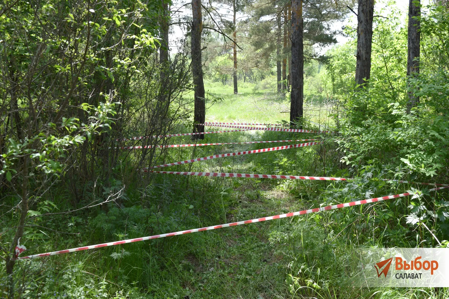В Салавате прошло Первенство имени Героя России Бориса Дудко