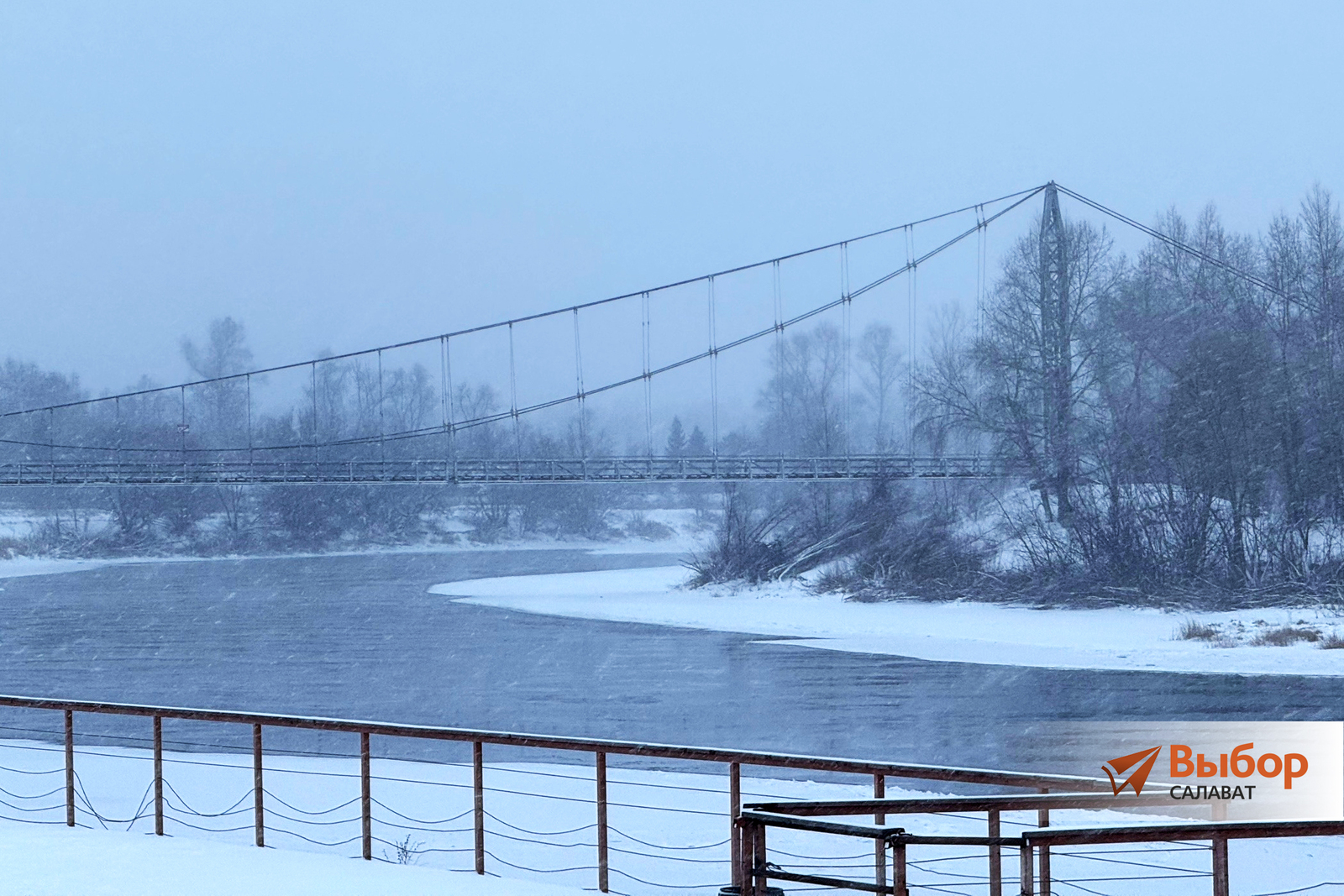 В Салават пришли лисы