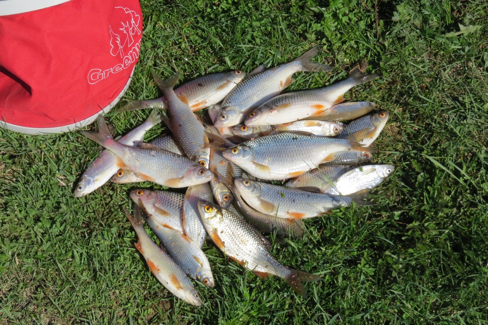 В Салавате пройдёт Фестиваль рыбной ловли