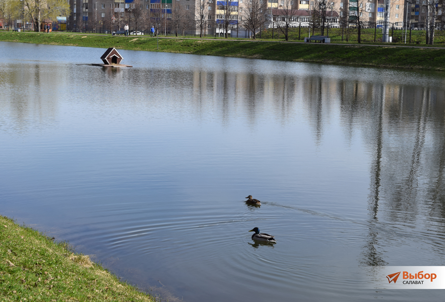 В Салавате прошла акция «Зелёная Башкирия»